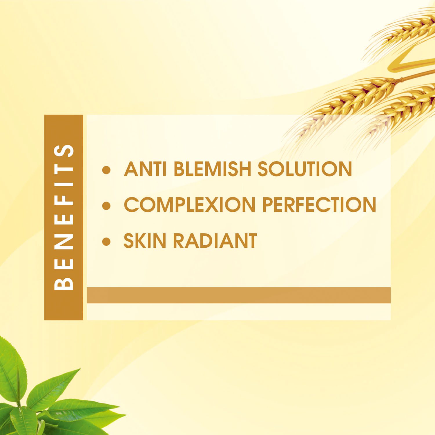 Anti Blemish Face Wash 2